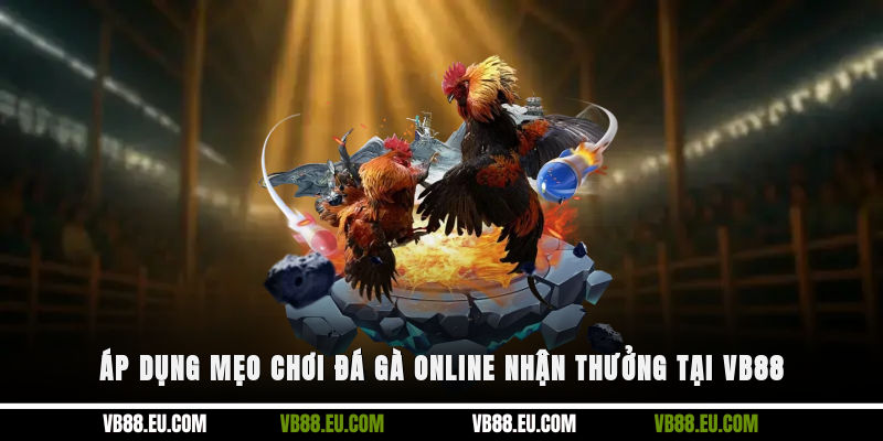 Áp dụng mẹo chơi đá gà online nhận thưởng tại VB88