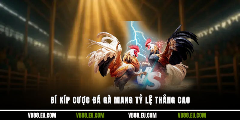 Bí kíp cược đá gà mang tỷ lệ thắng cao