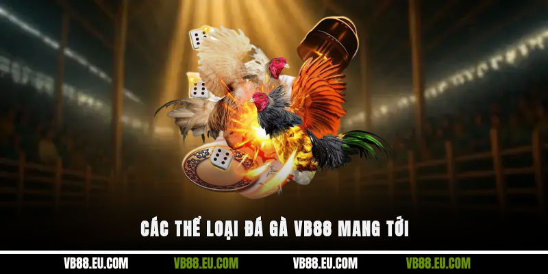Các thể loại đá gà VB88 mang tới