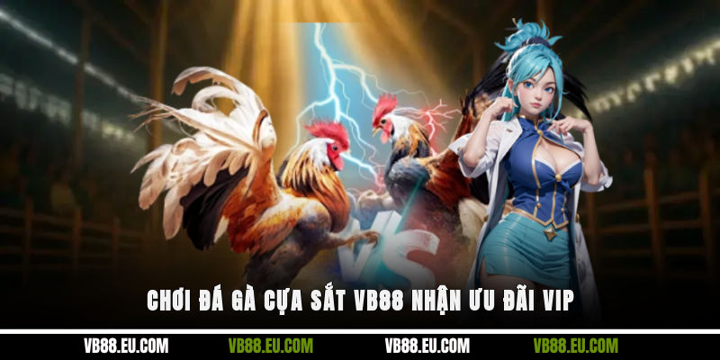 Chơi đá gà cựa sắt VB88 nhận ưu đãi VIP