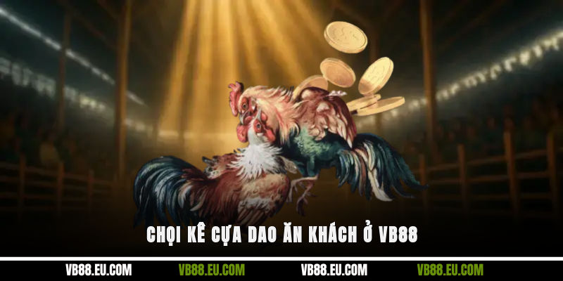 Chọi kê cựa dao ăn khách ở VB88