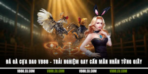 Đá gà cựa dao VB88 – Trải nghiệm gay cấn mãn nhãn từng giây