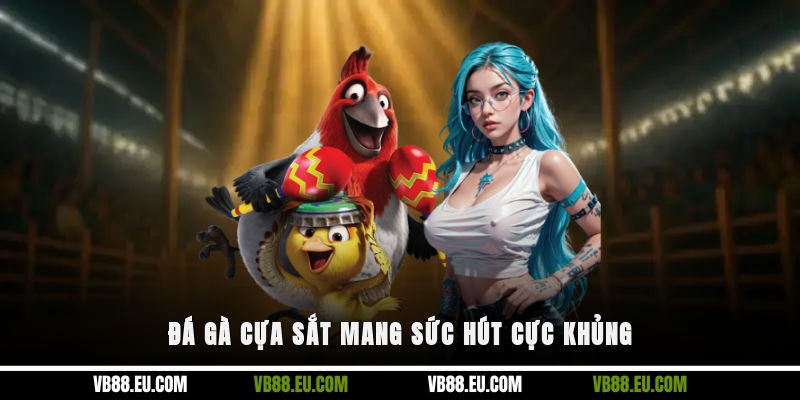 Đá gà cựa sắt mang sức hút cực khủng