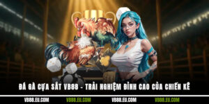 Đá gà cựa sắt VB88 – Trải nghiệm đỉnh cao của chiến kê
