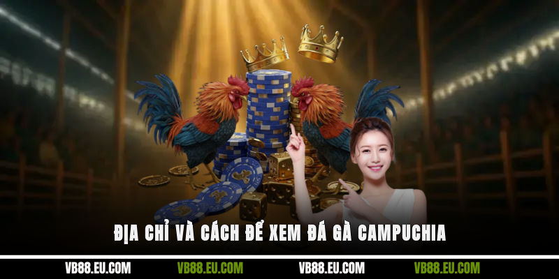 Địa chỉ và cách để xem đá gà Campuchia