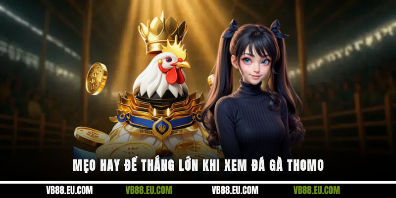 Mẹo hay để thắng lớn khi xem đá gà Thomo