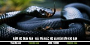 Nằm mơ thấy rắn – Giải mã giấc mơ và điềm báo cho bạn