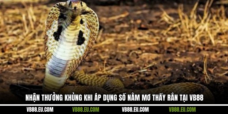Nhận thưởng khủng khi áp dụng số nằm mơ thấy rắn tại VB88