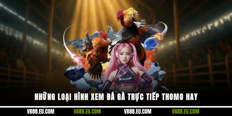 Những loại hình xem đá gà trực tiếp Thomo hay