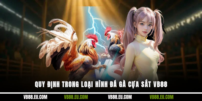 Quy định trong loại hình đá gà cựa sắt VB88