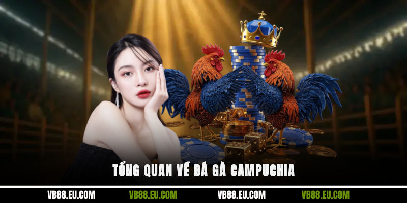 Tổng quan về đá gà Campuchia