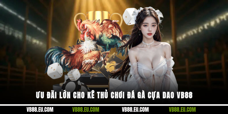 Ưu đãi lớn cho kê thủ chơi đá gà cựa dao VB88