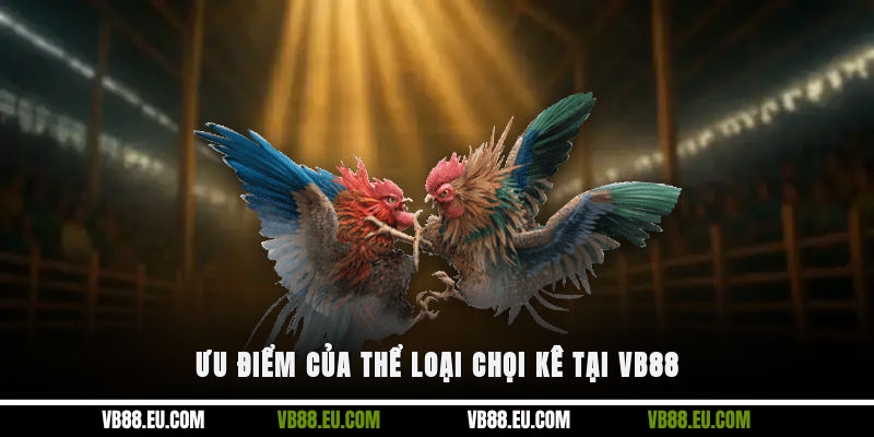 Ưu điểm của thể loại chọi kê tại VB88