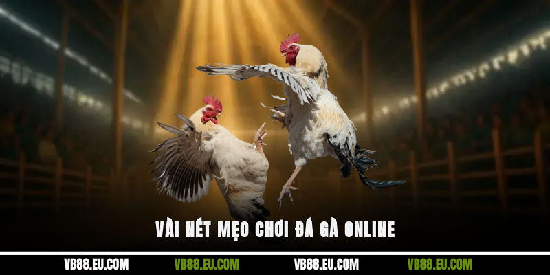 Vài nét mẹo chơi đá gà online